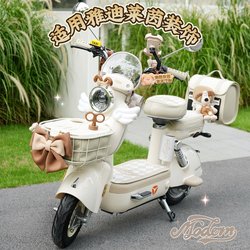 Suitable for Yadea modern Rhine floor mats, trunk hanging bag