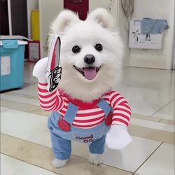 Knife-Wielding Dog Clothes, Dog Killer Costume, Small Dog Funny Transformation Outfit, Cat Pet Clothing Supplies