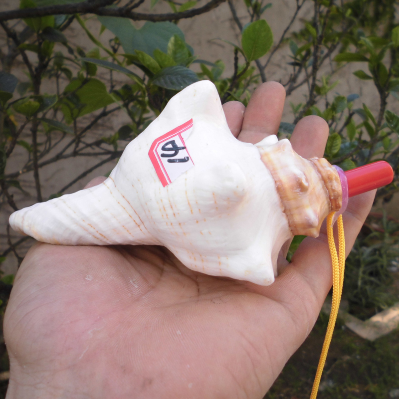 TB2nFyceXXXXXXQXXXXXXXXXXXX_!!