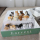 Cute mini puppy ornaments micro-landscape gardening car cake accessories diy doll accessories gifts