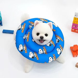 韩国Parisdog正品史努比印花圆环形伊丽莎白防舔咬围脖圈猫狗通用