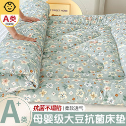 Mattress for All Seasons, Thickened Soft Cushion for Home Use, Suitable for Student Dormitories, Single-Person Rental Apartments, and Floor Sleeping