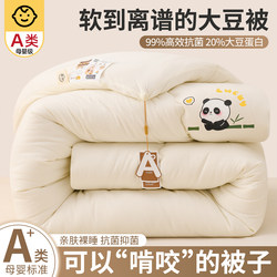 Soybean Quilt for Spring, Autumn, and Winter, Thickened and Warm, Cotton Quilt Core for Student Dormitory, Single Summer Cool Air-Conditioned Quilt, Suitable for All Seasons