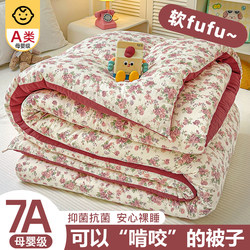 Class a Soybean Fiber Quilt, Winter Quilt, Cotton Quilt, Air-Conditioning Quilt Core, Summer Cooling Quilt, Spring and Autumn Quilt, All-Season Universal Single-Person Quilt, 2026 Summer