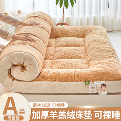 Home Use Lamb Wool Mattress Tatami Mat Pad Quilt Student Dormitory Thickened Warm Soft Pad