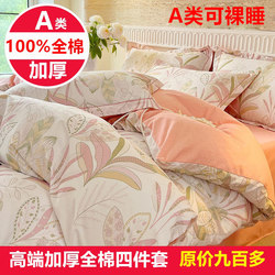 100% Pure Cotton Thickened Four-Piece Bedding Set, Brushed Cotton Duvet Cover, Bed Sheet, Fitted Sheet, Suitable for Spring, Autumn, and Winter