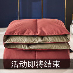 Five-Star Hotel Genuine Feather Silk Quilt, Silk Cotton Quilt Core, Thickened Winter Quilt, Spring and Autumn Quilt, Lightweight Quilt