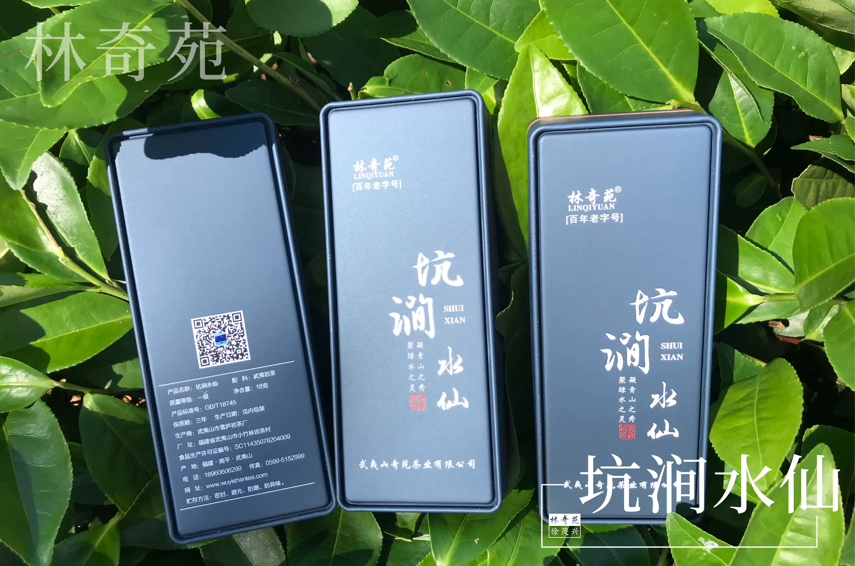 新茶上市坑涧水仙54克 乌龙茶叶 武夷山正岩茶大红袍