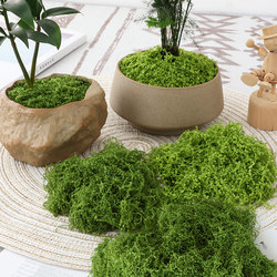 Simulated Moss Turf, Bionic Artificial Fake Moss, Micro-Landscape Arrangement, Lawn, Bonsai, Potted Plant, Pavement Landscaping