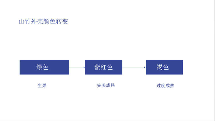 优质山竹怎么挑，这六个方法你得知道(图8)