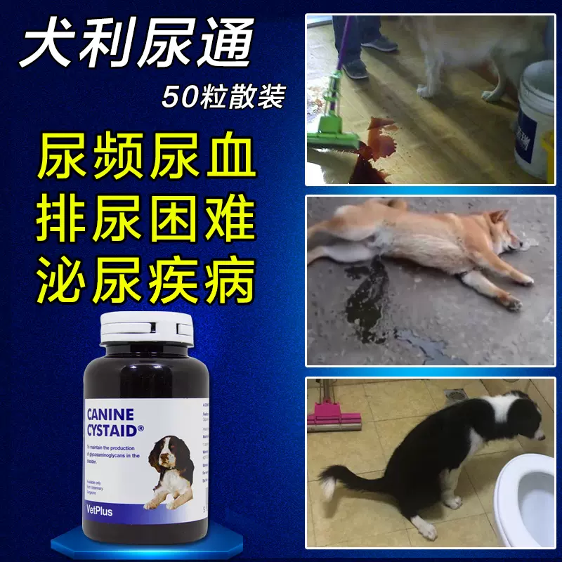 宠物犬泌尿通利尿通尿道感染狗狗尿血尿痛少尿膀胱