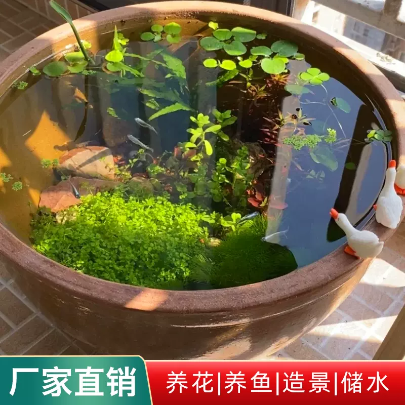 陶瓷生態缸老式荷花睡蓮盆金魚養烏龜專用缸陽臺古法生態魚缸造景-Taobao