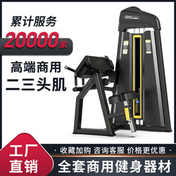 Commercial Gym Dedicated Two-In-One Comprehensive Trainer for Biceps and Triggers