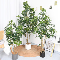 Duckbill Tree Artificial Green Plant Potted Plant Indoor Living Room Office Desktop Decoration Landscaping Artificial Bonsai Fake Tree Ornament