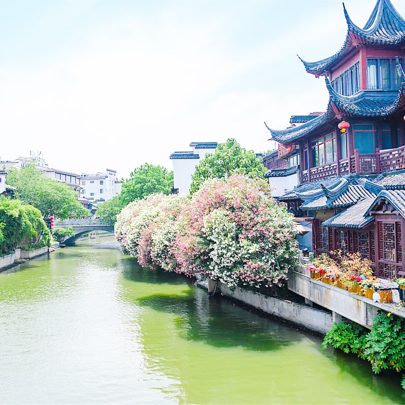 南京三日跟团旅游中山陵总统府夫子庙 南京博物院 无购物天天发班