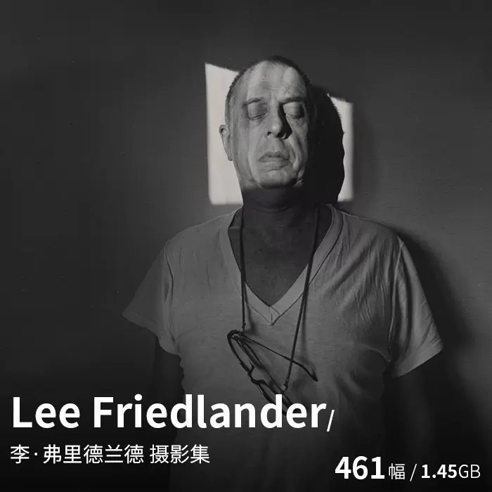 Lee Friedlander 李弗裏德蘭德黑白紀實攝影師作品集圖片素材資料-Taobao