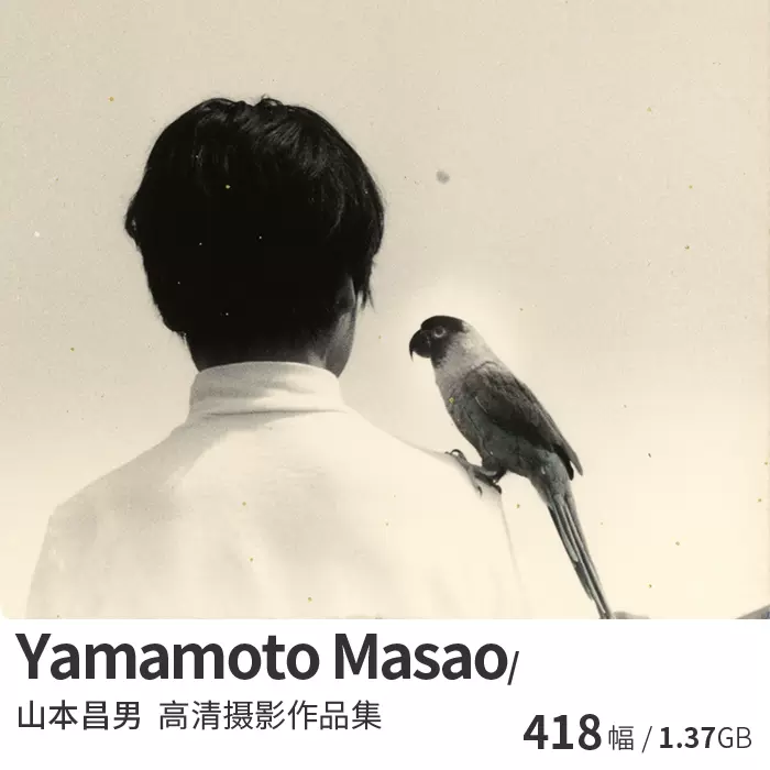 Yamamoto Masao 山本昌男日本黑白艺术摄影大师作品集图片资料-Taobao