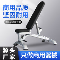 Professional Fitness Adjustable Dumbbell Bench, Commercial Bird Press Bench, Sit-Ups Fitness Chair, Multi-Functional Home Bench
