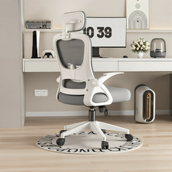 Computer Chair, Dormitory Student Study Chair, Comfortable Long-Sitting Ergonomic Chair, Gaming Desk Chair, Waist-Protecting High-Back Chair