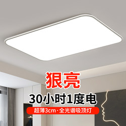 Led Living Room Ceiling Light, Full Spectrum Eye-Protection Lamp, Main Bedroom Light, Modern Minimalist and Elegant Zhongshan Lighting Fixtures