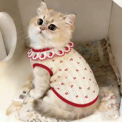 Cat Clothes Spring and Summer New Style Cute Lace Trim Pet Vest Breathable Air-Conditioning Clothing for Dogs and Cats