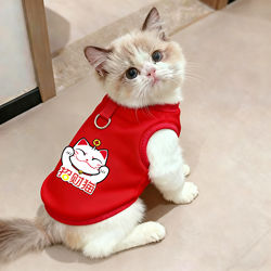 Cat Clothes for Autumn and Winter 2026, Festive New Year Outfit, Can Be Used with a Leash, Suitable for British Shorthair and Ragdoll Cats, Red Warm Hoodie