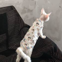 German Kitten Clothes Spring and Summer Thin Style Hairless Cat Sphynx Belly Protection Clothing Cat Ragdoll Cartoon Print Vest