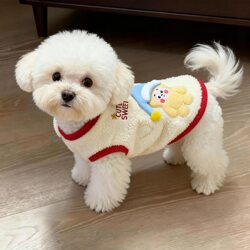 Puppy Clothes Autumn and Winter New Style Fleece-Lined Cute Blue Hat Star Doll Teddy Panda Cat Small Dog Clothing