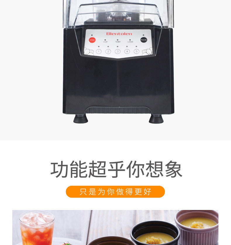 Songtai ST-300 Commercial Smoothie & Ice Crusher - 1000W Blender