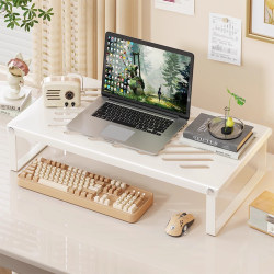 Computer elevated desktop monitor storage rack