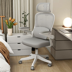 Aigole Computer Chair, Youth Study Chair, Home Ergonomic Chair, Comfortable for Long Sitting, Office Chair, Desk Chair