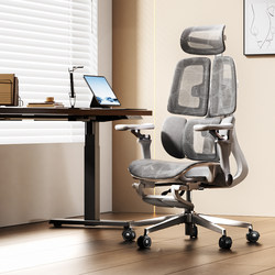 Aigole V3 Computer Chair Ergonomic Chair Home Office Chair Comfortable for Long Sitting Gaming Chair Backrest Chair Seat