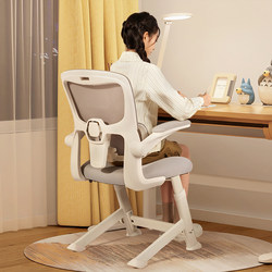 Aigole Youth Learning Chair, Ergonomic Writing Chair for Junior High School Students, Office Computer Chair