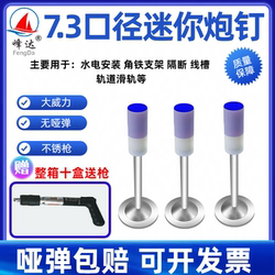 Fengda Mini Gun Nails, Round Nails, Bare Nails, Stainless Steel Nails, Shooting Nails, Pipe Clamps, Nails 273242, Integrated Nails for Concrete, Plumbing, and Electrical Work