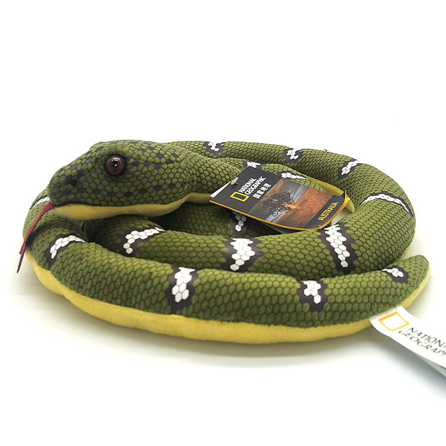 Authentic National Geographic Australia simulated green tree python ...