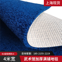 10-12mm Bent Pile Carpet for Commercial Use in Martial Arts Venues, Taekwondo, Large Area, Soundproof, Durable, 4m Wide, Solid Color, Flame Retardant