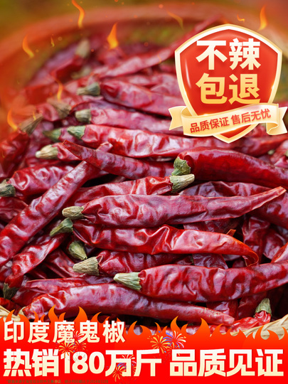 インドデビルペッパー - 超辛口チリ - 500g