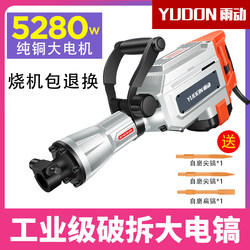 Raindong German Electric Pickaxe Professional 95 Large Electric Pickaxe Industrial-Grade High-Power Concrete Single-Use Heavy-Duty Electric Hammer
