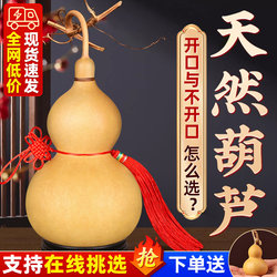 Natural Gourd Pendant, Real Gourd for Moxibustion, Chinese Knot, Auspicious Door-To-Door Design, Large Ornament for Living Room Entrance, Cultural Artifact