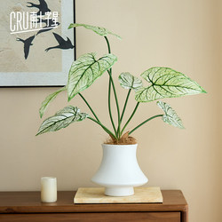 Southern Cross Monstera Artificial Green Plant Potted Decoration for Living Room Tabletop Bonsai Fake Plant Artificial Flower Decoration