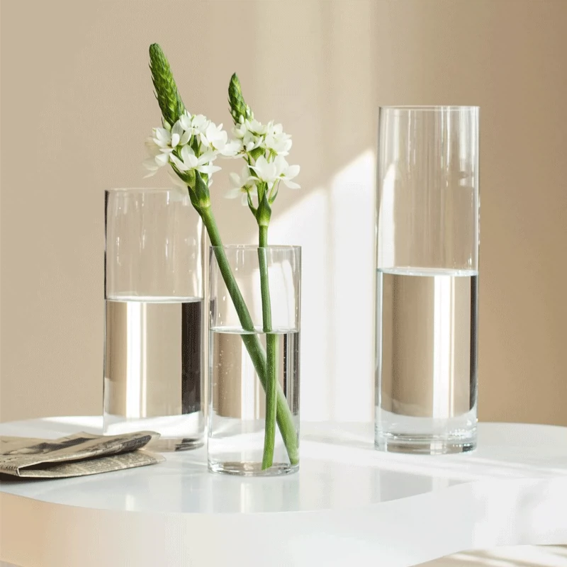 花瓶摆件客厅插花玻璃高级感透明水养马醉木富贵竹雪柳直筒花器高-Taobao