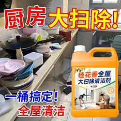 All-Purpose Cleaning Agent for Household Cleaning, Powerful Stain Remover, Specialized for Housekeeping and Cleaning