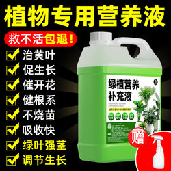 Plant nutrient solution universal pothos bamboo money tree