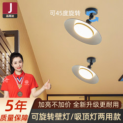 Outdoor Ceiling Light Waterproof and Insect-Proof Outdoor Eaves Light Ceiling Light Balcony Light 2025 New Model Special Light for Sunrooms