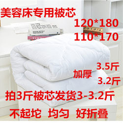 Beauty Bed Mattress Core, Beauty Salon Mattress 120X180, Quilt Cover, Thickened, Warm, Special for Foot Bath and Hair Washing, Autumn and Winter