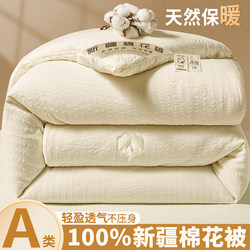 Xinjiang Cotton Quilt, Winter Quilt, Thickened Warm Cotton Quilt Core, 5kg Single/Double Spring and Autumn Bedding, Suitable for All Seasons