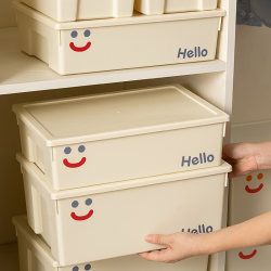 Desktop Storage Box for Cosmetics, Snacks, and Miscellaneous Items, Multifunctional Organizing Box, Rectangular Plastic Basket with Lid, Storage Basket