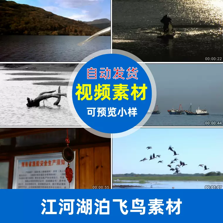 D840江河湖泊飞鸟大雁竹排渔翁撒网捕鱼船高清实拍视频