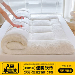 Lamb Wool Mattress Pad for Home Use in Winter, Thickened Dormitory Single Tatami Mat, Milk Velvet Sleeping Pad, Bed Mattress