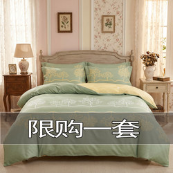 Four-Piece Bedding Set, High-Quality Cotton Bed Sheet, Quilt Cover, Pure Cotton Home Textile Quilt Cover, Three-Piece Set for All Seasons